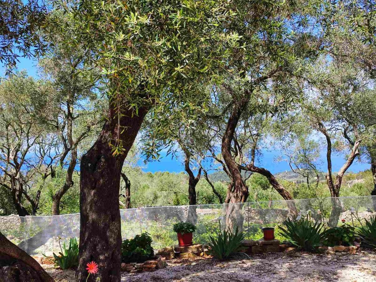 Villa Olive Garden, Kastanida - Paxoi Gaios Extérieur photo