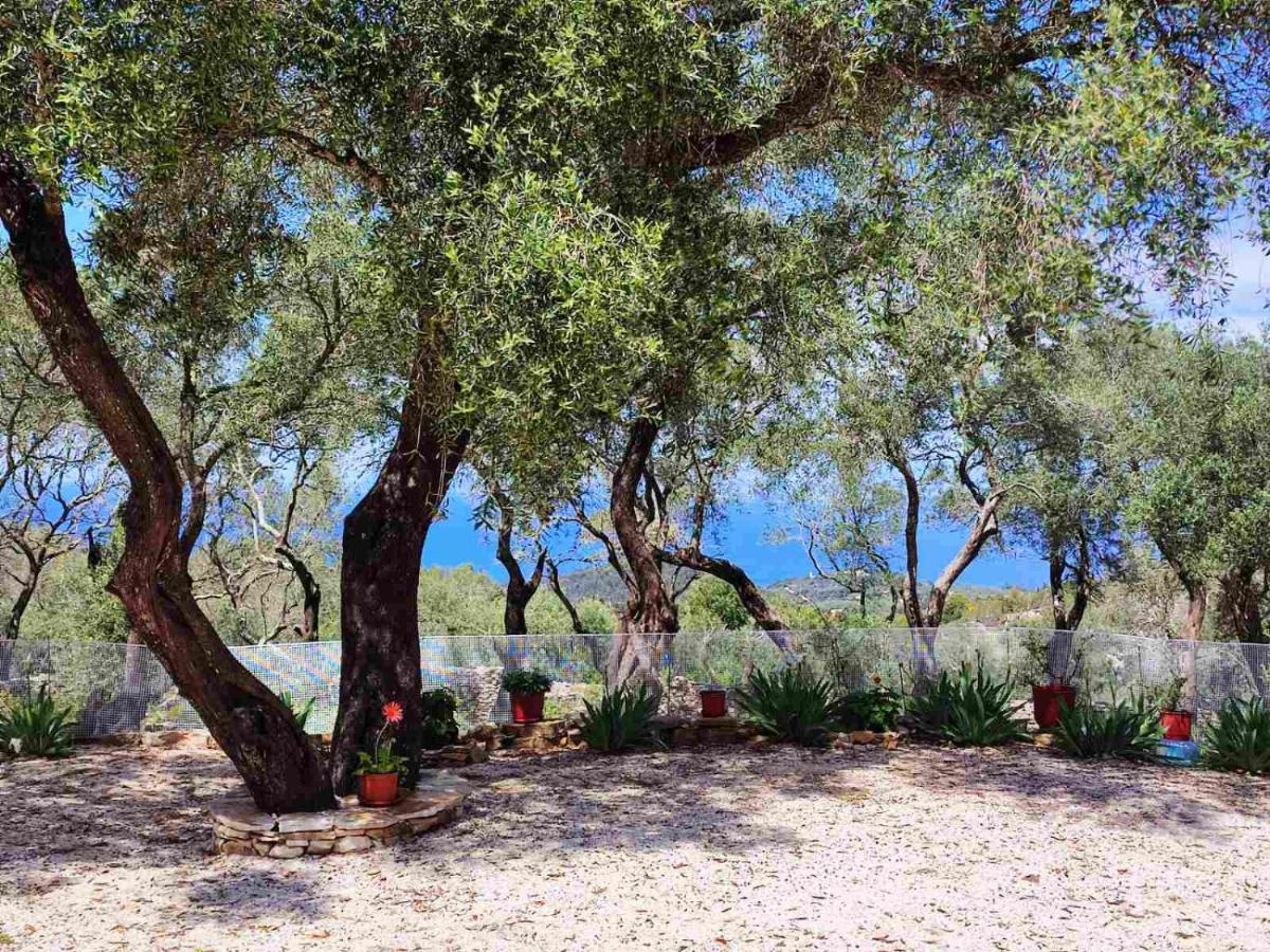 Villa Olive Garden, Kastanida - Paxoi Gaios Extérieur photo