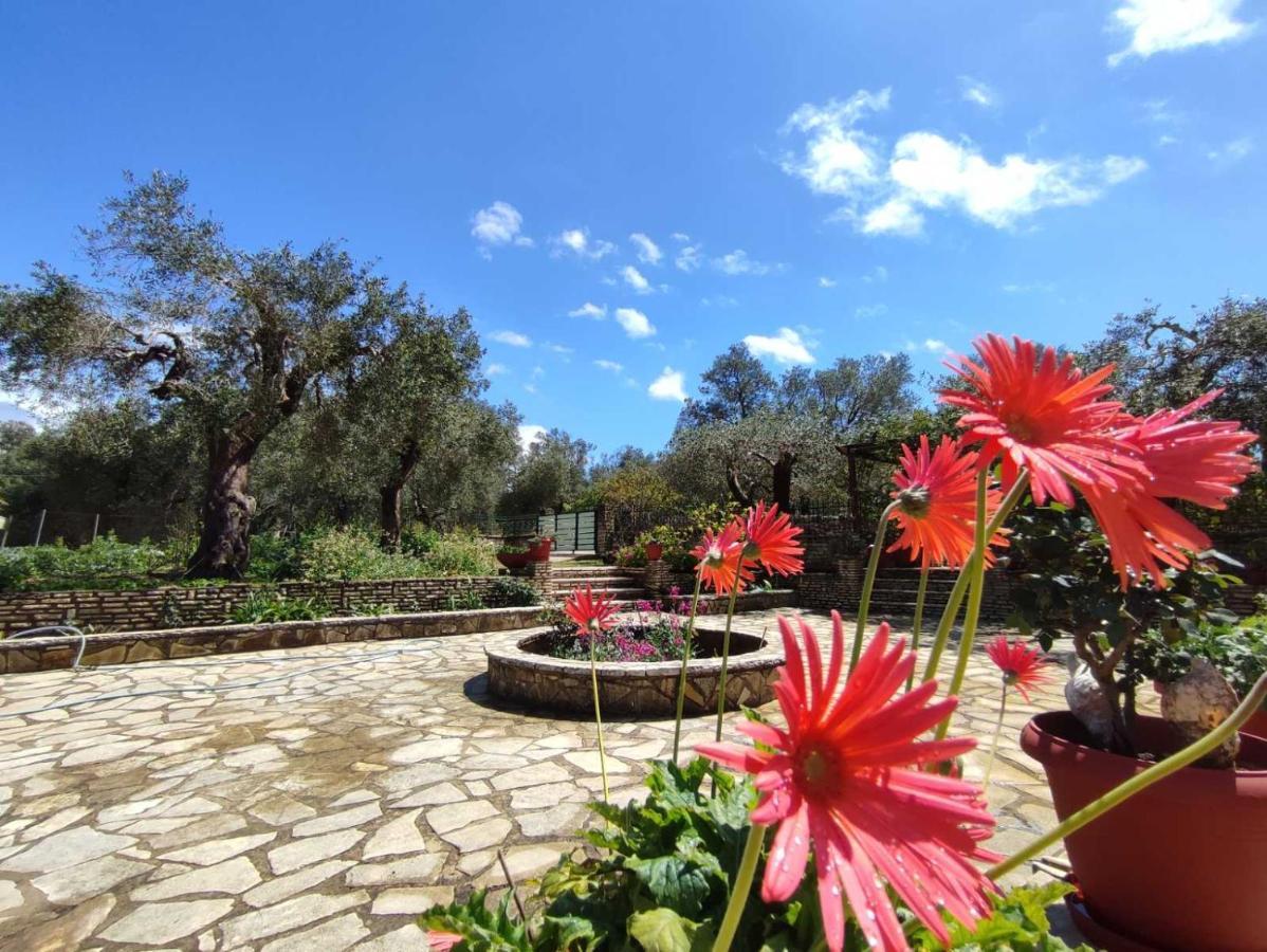 Villa Olive Garden, Kastanida - Paxoi Gaios Extérieur photo