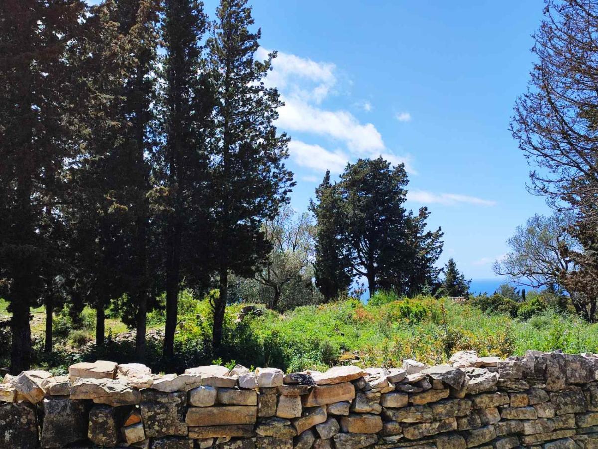Villa Olive Garden, Kastanida - Paxoi Gaios Extérieur photo